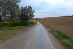 DSCN0170