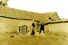 photoancienne15