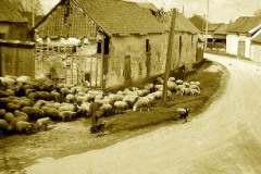 photoancienne23
