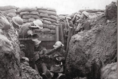 Trencheswwi2